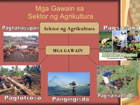 ang agrikultura ay makakatulong upang magkaroon ng trabaho